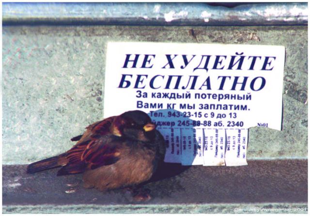 меню диета 3