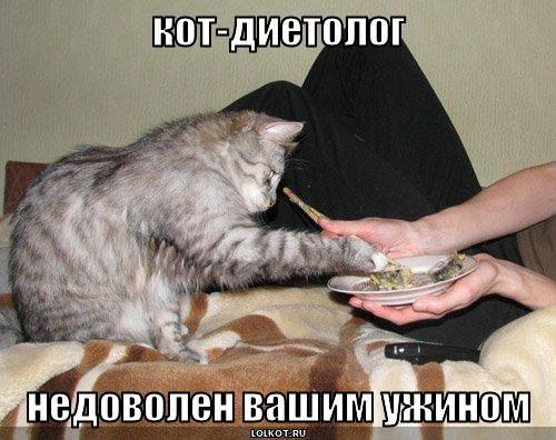 программа похудения минус 60