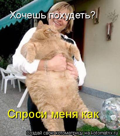 гэрб и ожирение